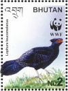 Colnect-1720-423-Kalij-Pheasant-nbsp-Lophura-leucomelana-.jpg