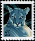 Colnect-202-702-Florida-Panther-Puma-concolor-coryi.jpg