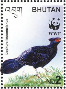 Colnect-1720-423-Kalij-Pheasant-nbsp-Lophura-leucomelana-.jpg