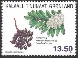 Colnect-1013-381-Greenland-mountain-ash-Sorbus-groenlandica.jpg