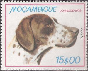 Colnect-1116-057-English-Pointer-Canis-lupus-familiaris.jpg