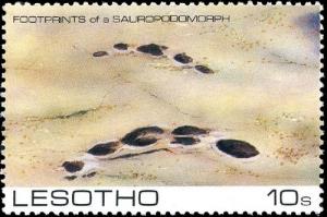 Colnect-2134-794-Footprints-of-a-Sauropodomorph.jpg