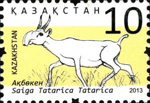 Colnect-3595-931-Saiga-Antelope-Saiga-tatarica.jpg