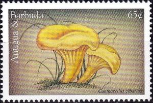 Colnect-3840-421-Cantharellus-cibarus.jpg