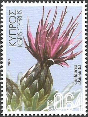 Colnect-3959-688-Centaurea-akamantis.jpg