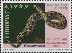 Colnect-5190-781-Ethiopian-Mountain-Adder-Bitis-parviocula.jpg