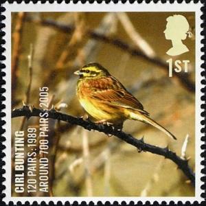 Colnect-521-206-Cirl-Bunting-Emberiza-cirlus.jpg