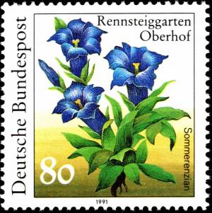 Colnect-5382-295-Gentiana-septemfida.jpg