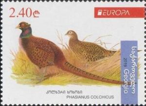 Colnect-6045-859-Pheasant-Phasianus-colchicus.jpg