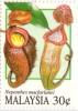 Colnect-2005-595-Pitcher-Plants--Nephentes-macfarlanei.jpg