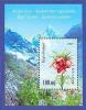 Colnect-196-933-Mountain-Flower-Aigul.jpg