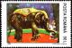 Colnect-5555-905-Asian-Elephant-Elephas-maximus-in-Circus.jpg