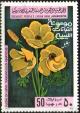 Colnect-1989-008-Ranunculus-Asiaticus.jpg