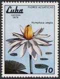 Colnect-852-887-Nymphaea-ampla.jpg