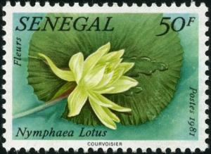 Colnect-897-905-Nymphaea-lotus.jpg