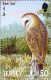 Colnect-127-937-Western-Barn-Owl-Tyto-alba.jpg