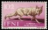 Colnect-1359-594-Golden-Jackal-Canis-aureus.jpg