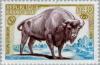 Colnect-144-903-European-Bison-Bison-bonasus.jpg