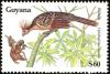 Colnect-1664-167-Hoatzin-Opisthocomus-hoatzin.jpg