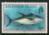 Colnect-1691-945-Yellowfin-Tuna-Thunnus-albacares.jpg