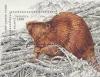 Colnect-191-342-Eurasian-Beaver-Castor-fiber.jpg