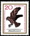 Colnect-1974-657-Common-Buzzard-Buteo-buteo.jpg