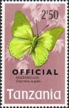 Colnect-2614-863-Common-Green-Charaxes-Charaxes-eupale.jpg