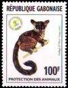 Colnect-2800-819-Bioko-Allen-s-Bushbaby-Galago-alleni.jpg