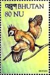 Colnect-3400-659-Hoatzin-Opisthocomus-hoazin.jpg