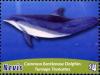 Colnect-3706-344-Common-bottlenose-dolphin.jpg