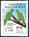 Colnect-4260-461-Yellow-naped-Amazon-Amazona-auropalliata-ssp-caribea.jpg