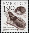 Colnect-4388-928-Norwegian-Lemming-Lemmus-lemmus.jpg