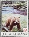 Colnect-4585-577-Brown-Bear-Ursus-arctos.jpg