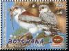 Colnect-5304-187-Pygmy-Falcon-Polihierax-semitorquatus.jpg