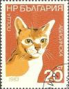 Colnect-615-195-Abyssinian-Felis-silvestris-catus.jpg