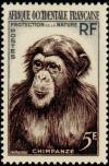 Colnect-795-471-Chimpanzee-Pan-troglodytes.jpg