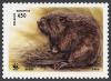 Colnect-857-558-European-Beaver-Castor-fiber.jpg