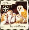 Colnect-975-463-Western-Barn-Owl-Tyto-alba.jpg