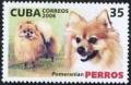 Colnect-1022-433-Pomeranian-Canis-lupus-familiaris.jpg