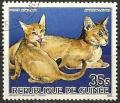 Colnect-1097-949-Abyssinian-Felis-silvestris-catus.jpg