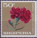 Colnect-1411-401-Carnation-Dianthus-caryophyllus.jpg