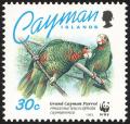 Colnect-1458-122-Cayman-Island-Amazon-Amazona-leucocephala-caymanensis.jpg