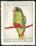 Colnect-1565-479-Hispaniolan-Amazon-Amazona-ventralis.jpg