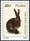 Colnect-1967-328-European-Hare-Lepus-europaeus.jpg