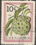 Colnect-2112-379-Anon-Annona-reticulata.jpg