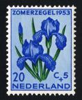 Colnect-2192-568-German-Iris-Iris-germanica.jpg