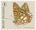 Colnect-2286-137-Queen-of-Spain-Fritillary-Issoria-lathonia.jpg