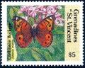 Colnect-2549-542-West-Indian-Buckeye-Junonia-evarete.jpg