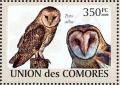 Colnect-3669-399-Western-Barn-Owl%C2%A0Tyto-alba.jpg