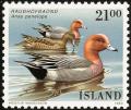 Colnect-3708-208-Eurasian-Wigeon-Anas-penelope.jpg